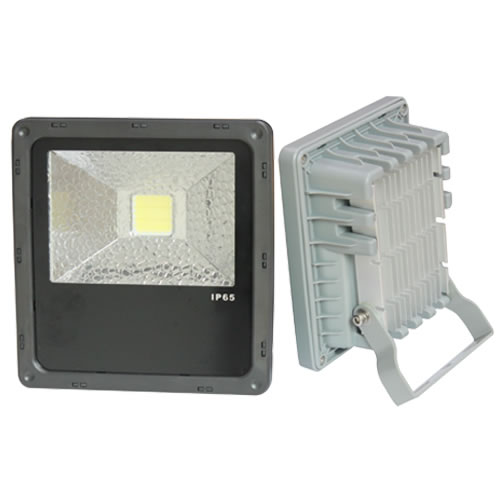 LED Flood Light