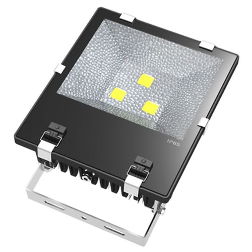 LED Flood Light