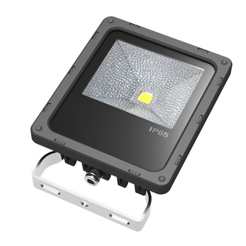 LED Flood Light